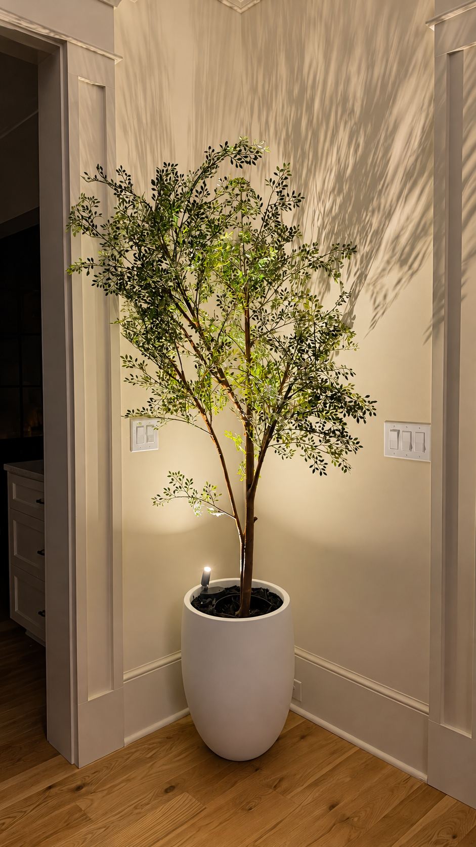 Illuminated indoor olive tree